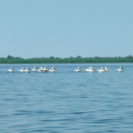 Gorgova Delta Village Экстерьер фото