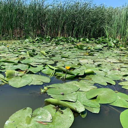 Gorgova Delta Village Экстерьер фото